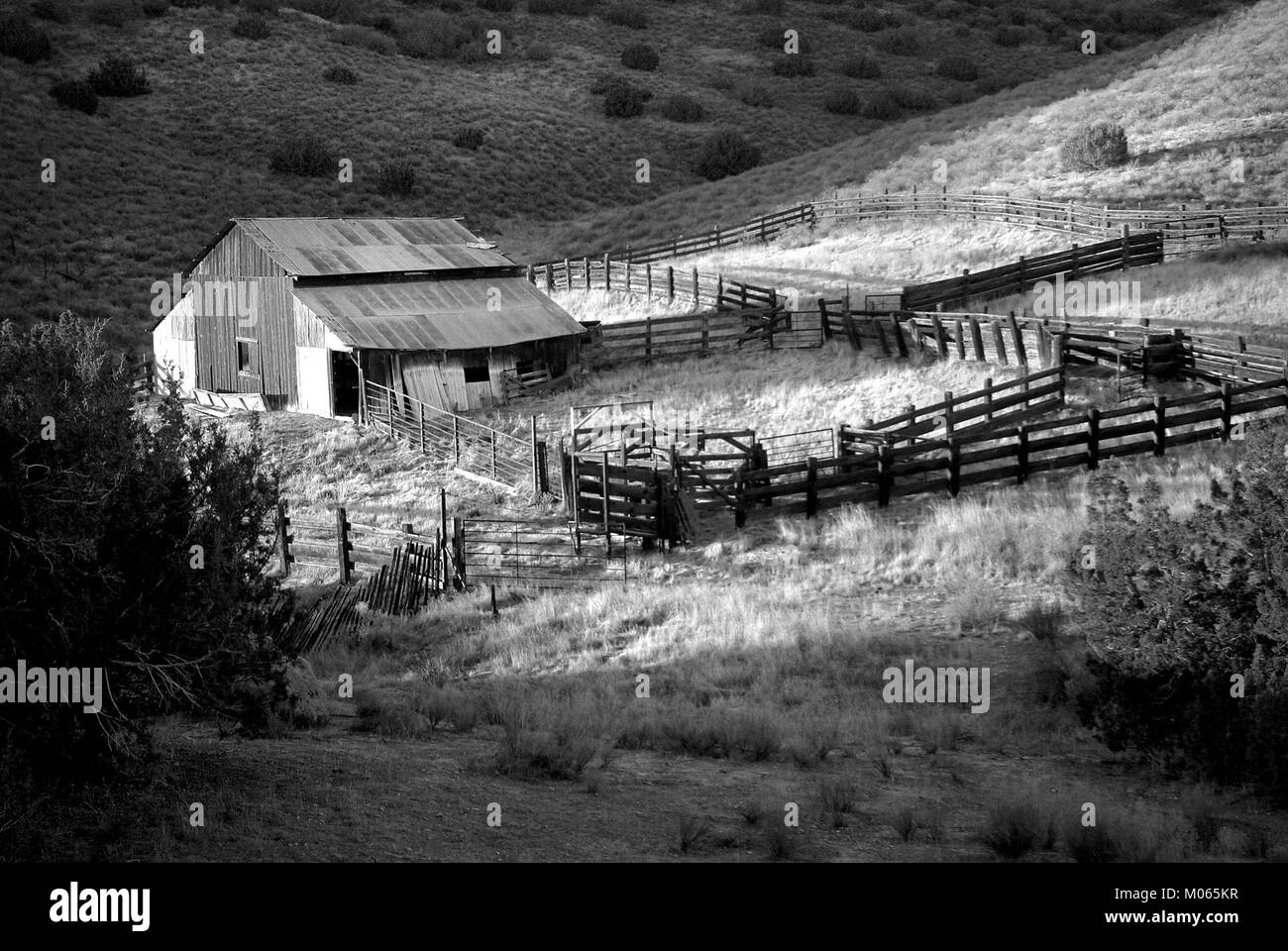 Dieses Bild zeigt das Gebiet der Carrizo Plain im San Luis Obispo County, Kalifornien. Die Carrizo Plain ist bekannt für ihre einzigartigen geologischen Merkmale und vielfältigen Ökosysteme und ist ein wichtiges Naturgebiet und Naturschutzgebiet. Stockfoto
