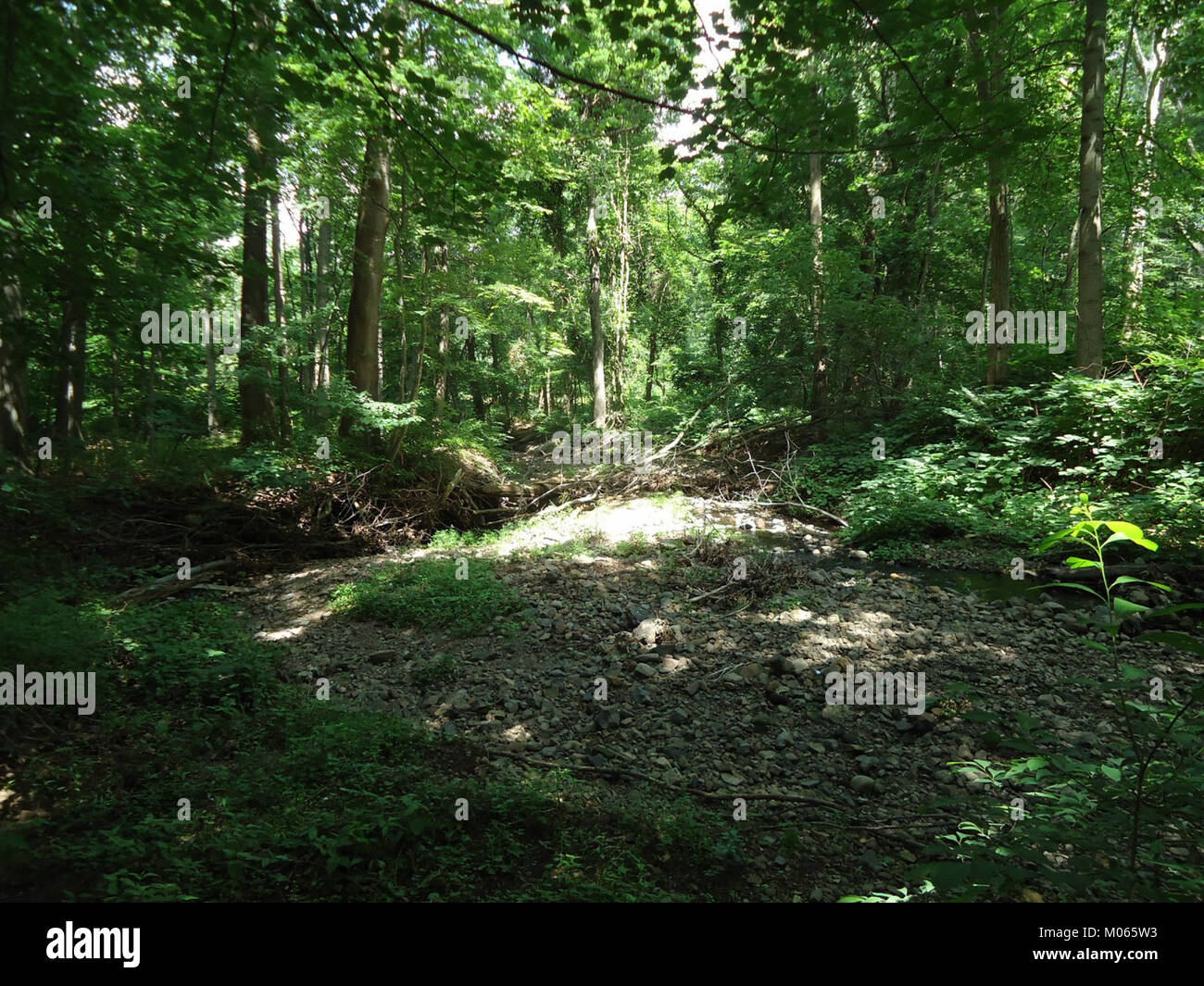 Der Briant Park in Summit, New Jersey, ist ein öffentlicher Park mit Grünflächen, Freizeiteinrichtungen und Community Engagement, wie im Juni 2012 gezeigt. Stockfoto