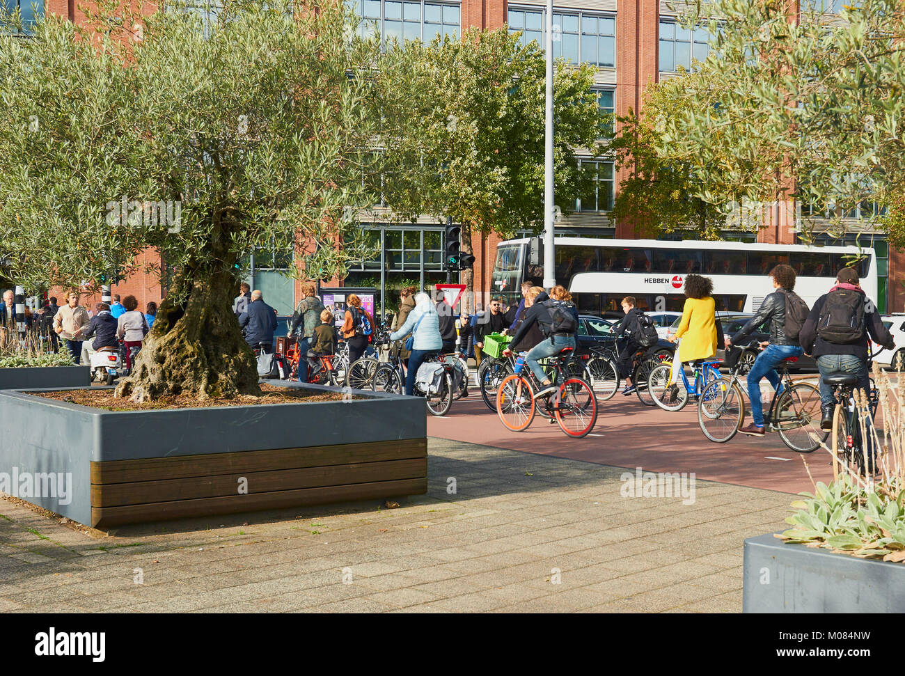 Viele Radfahrer in Mr. Visserplein-Kreisverkehr liegt, Amsterdam, Niederlande. Benannt nach Lodewijk Ernst Visser Präsident des Obersten Gerichts von 1939-40 Stockfoto