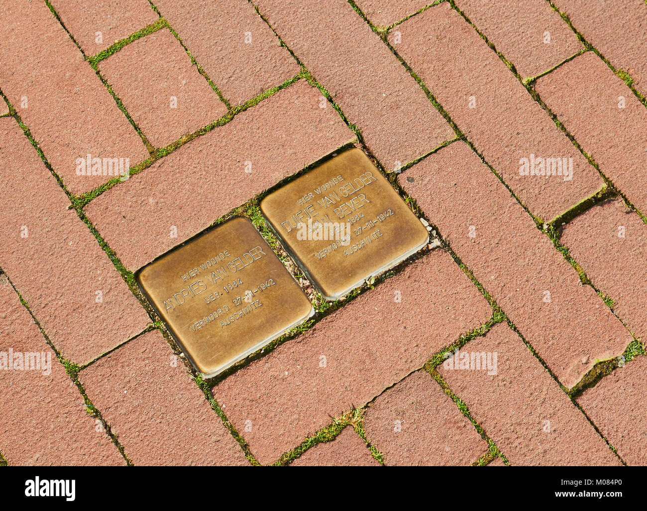 Messing Plaketten zum Gedenken an Juden, die im Zweiten Weltkrieg starben zwei, Amsterdam, Niederlande. Stockfoto