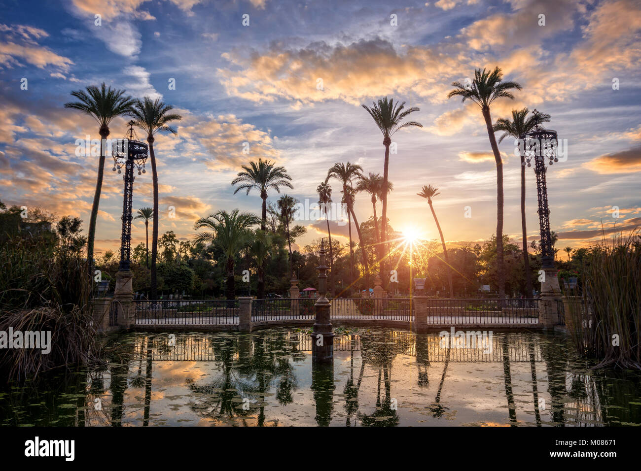Palmen im Sonnenuntergang in Maria Luisa Park in Sevilla, Andalusien, Spanien Stockfoto