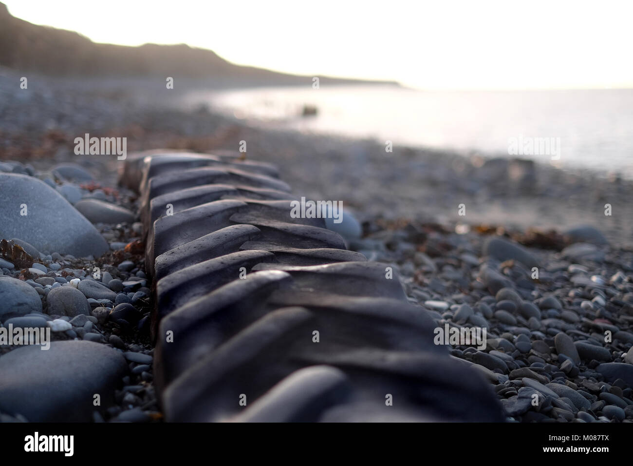 Traktor Reifen zum Meer verlassene sitzt am Strand wartet auf die nächste hohe titde Stockfoto
