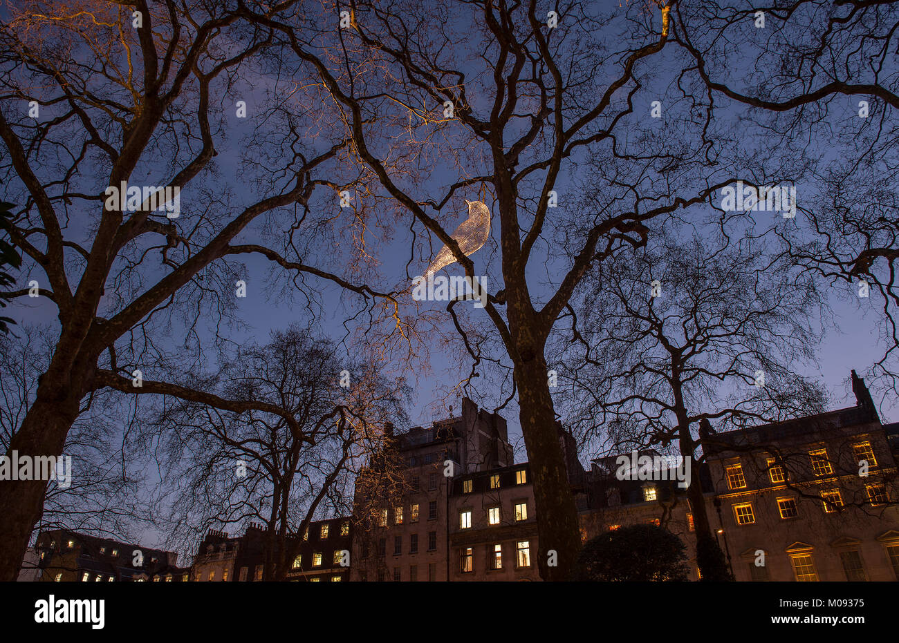 18. Jan 2018. Lumiere London, Berkeley Square', war, dass ein Traum?', ein Vogel gegen den Nachthimmel beleuchtet. Credit: Malcolm Park/Alamy Stockfoto