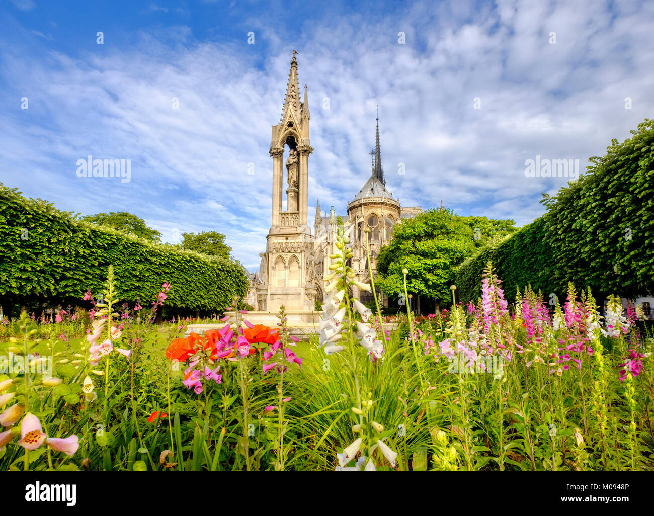 Die Kathedrale Notre Dame de Paris, Garten mit Frühling Blumen in Paris