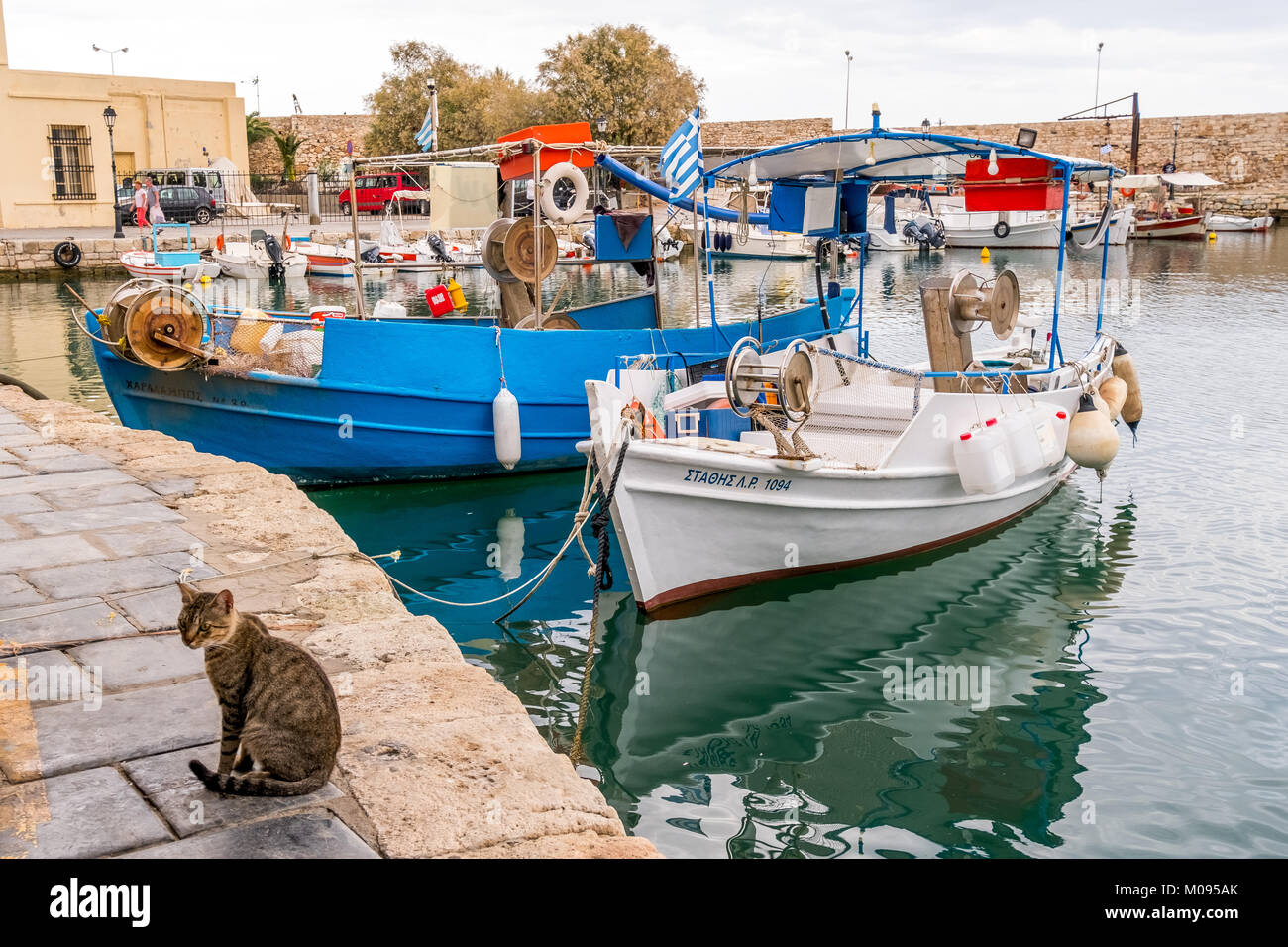 Katzen am Pier in den venezianischen Hafen von Rethymno, Fischkutter, Fischerboote, Europa, Kreta, Griechenland,,, Rethymno, Europa, Kreta, Griechenland, Reisen, Touris Stockfoto