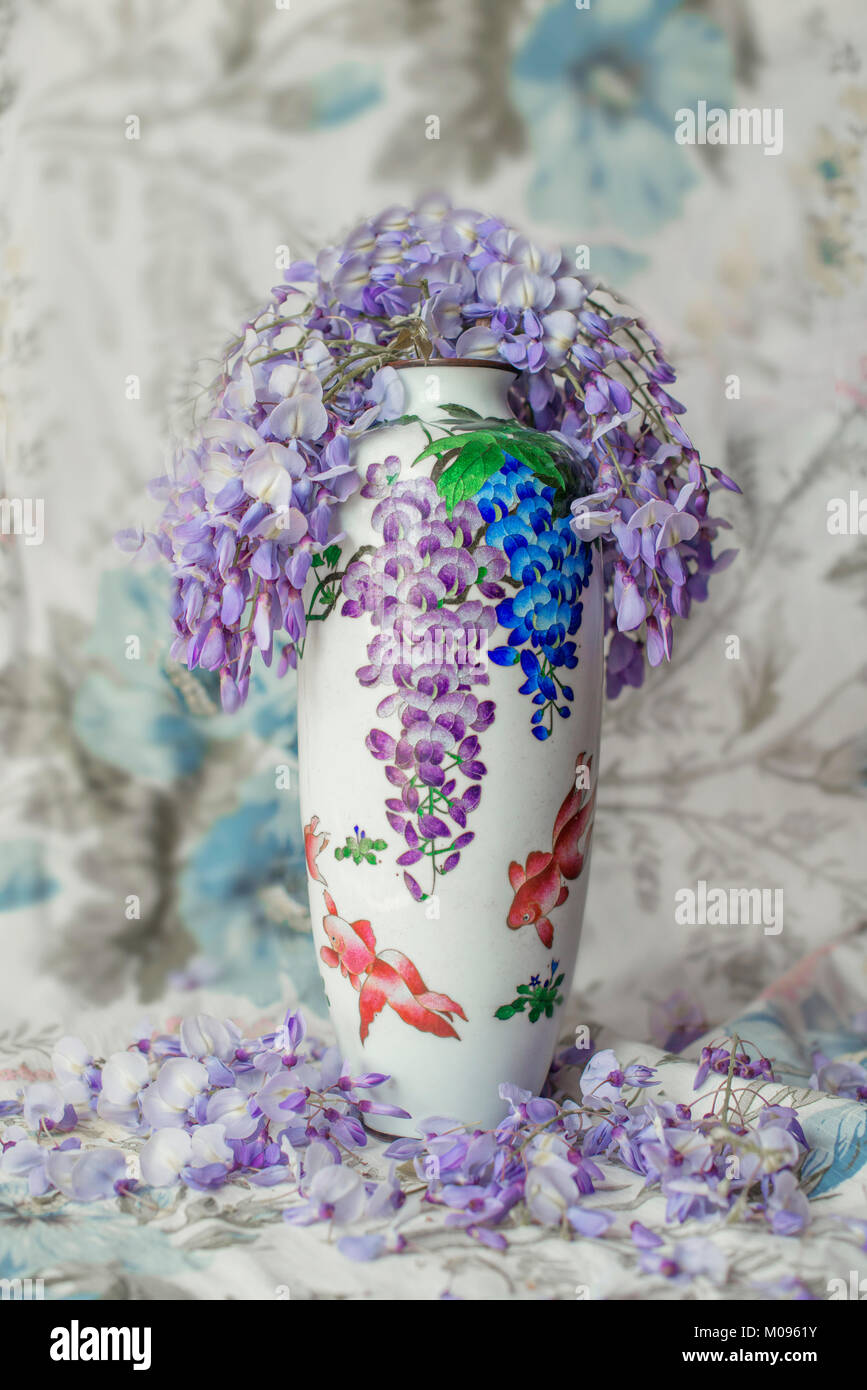 Wisteria im Chinoiserie-Stil gestaltete Vase mit bunten Hintergrund Stockfoto