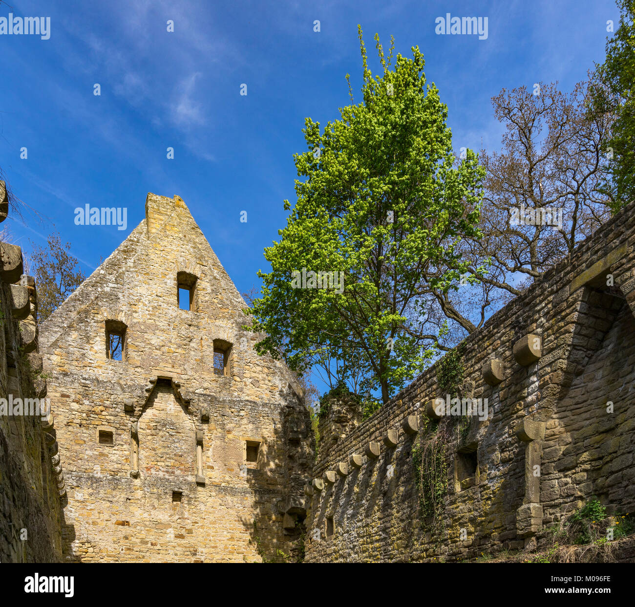 Ruinen des Klosters Disibodenberg. Welterbe Ruine der Disibod Kloster auf dem Gipfel des Hügels Disibodenberg bei Odernheim in Deutschland, Rheinland Stockfoto