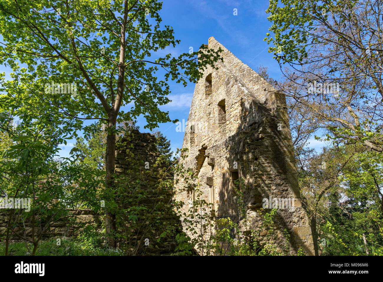 Ruinen des Klosters Disibodenberg. Welterbe Ruine der Disibod Kloster auf dem Gipfel des Hügels Disibodenberg bei Odernheim in Deutschland, Rheinland Stockfoto