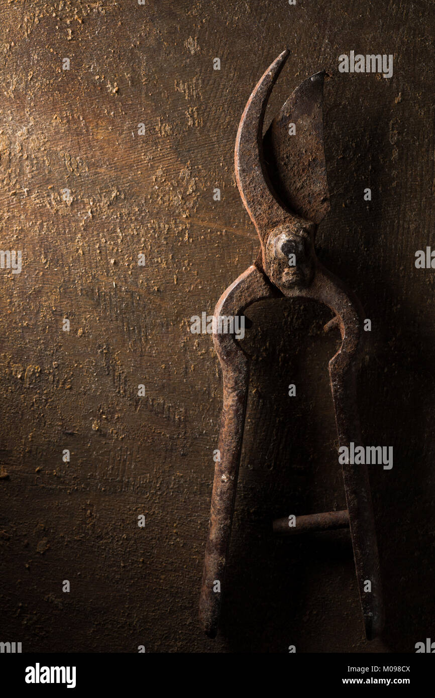 Ein Paar rostige Baumscheren auf Grunge Oberfläche Stockfoto