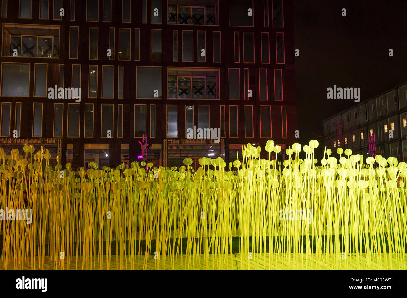 London, Großbritannien. 19 Jan, 2018. Standorte um Kings Cross in London mit spektakulären Licht zeigt durch erstklassige Künstler und große Menschenmengen. "Entre les Rangs' von Rami Bebawi/KANVA bietet Tausende von Reflektor Blumen bei Lewis Cubitt Park. Credit: Malcolm Park/Alamy Leben Nachrichten. Stockfoto