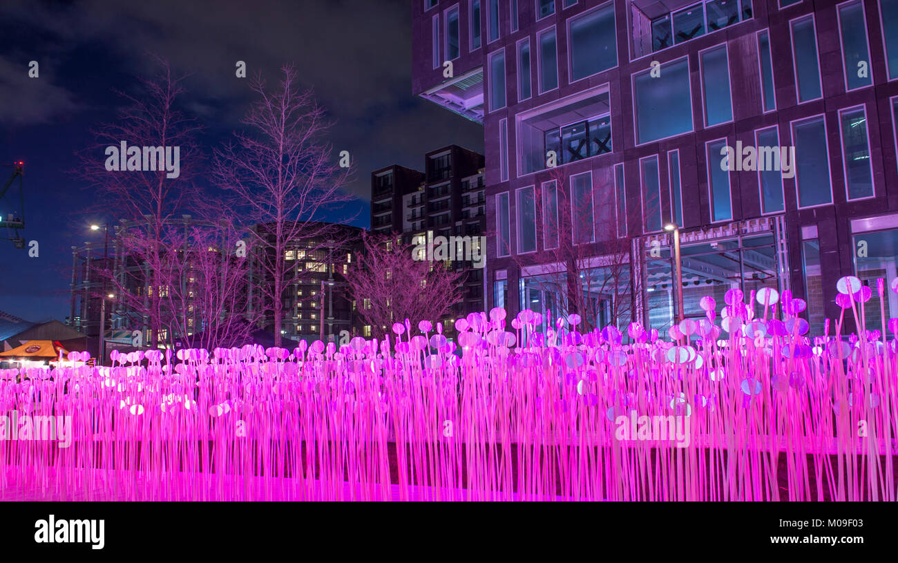 London, Großbritannien. 19 Jan, 2018. Standorte um Kings Cross in London mit spektakulären Licht zeigt durch erstklassige Künstler und große Menschenmengen. "Entre les Rangs' von Rami Bebawi/KANVA bietet Tausende von Reflektor Blumen bei Lewis Cubitt Park. Credit: Malcolm Park/Alamy Leben Nachrichten. Stockfoto