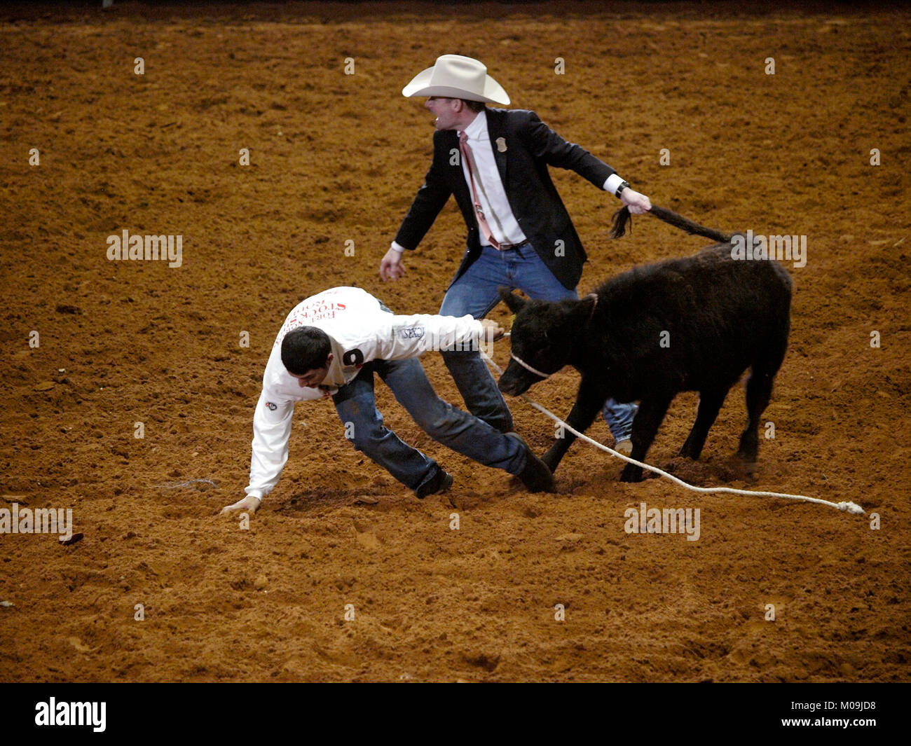 Fort Worth, USA. 19 Jan, 2018. Ein Kalb widersteht, wird in die Mitte des Rings durch eine High School Student ein Stipendium an der 100 Jahreszeit im Hallenbad Rodeo am Fort Worth lieferbar Zeige und Rodeo zu gewinnen. Es original indoor Rodeo der Welt." Quelle: J. G. Domke/Alamy leben Nachrichten Stockfoto