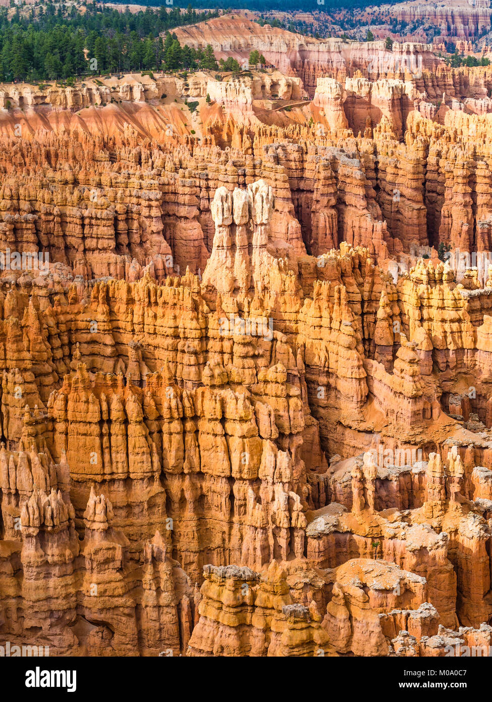 Hoodoo Felsformationen im Bryce Canyon National Park, Utah (USA). Stockfoto