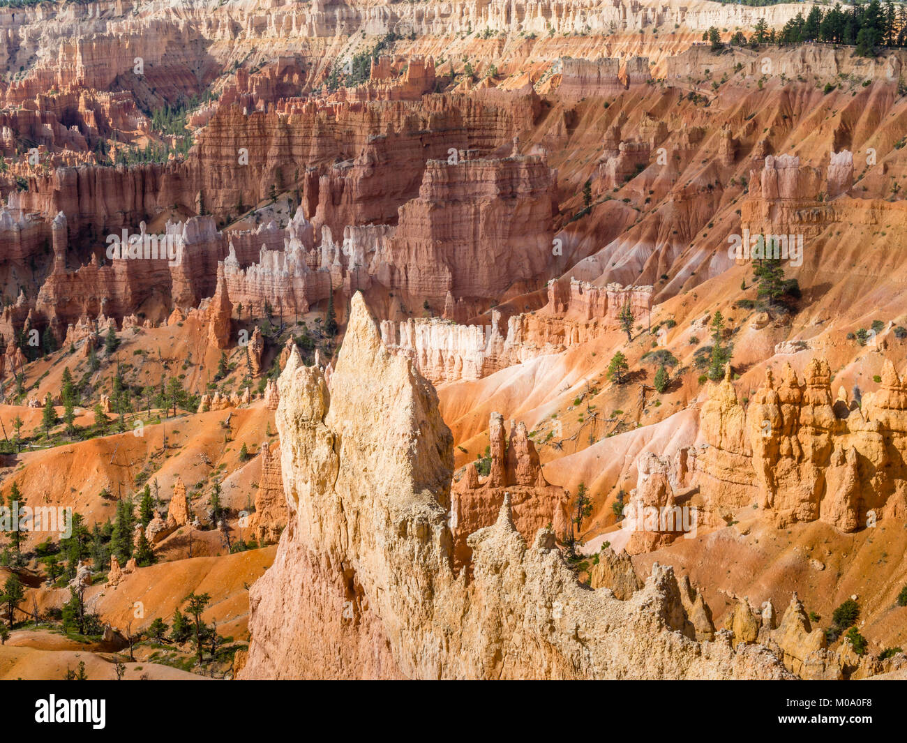 Hoodoo Felsformationen im Bryce Canyon National Park, Utah (USA). Stockfoto