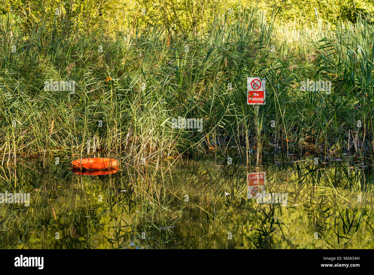 Zeichen: Keine Angeln, in einem Teich mit einem Rettungsring, im Oare in der Nähe von Faversham, Kent, England, UK gesehen Stockfoto