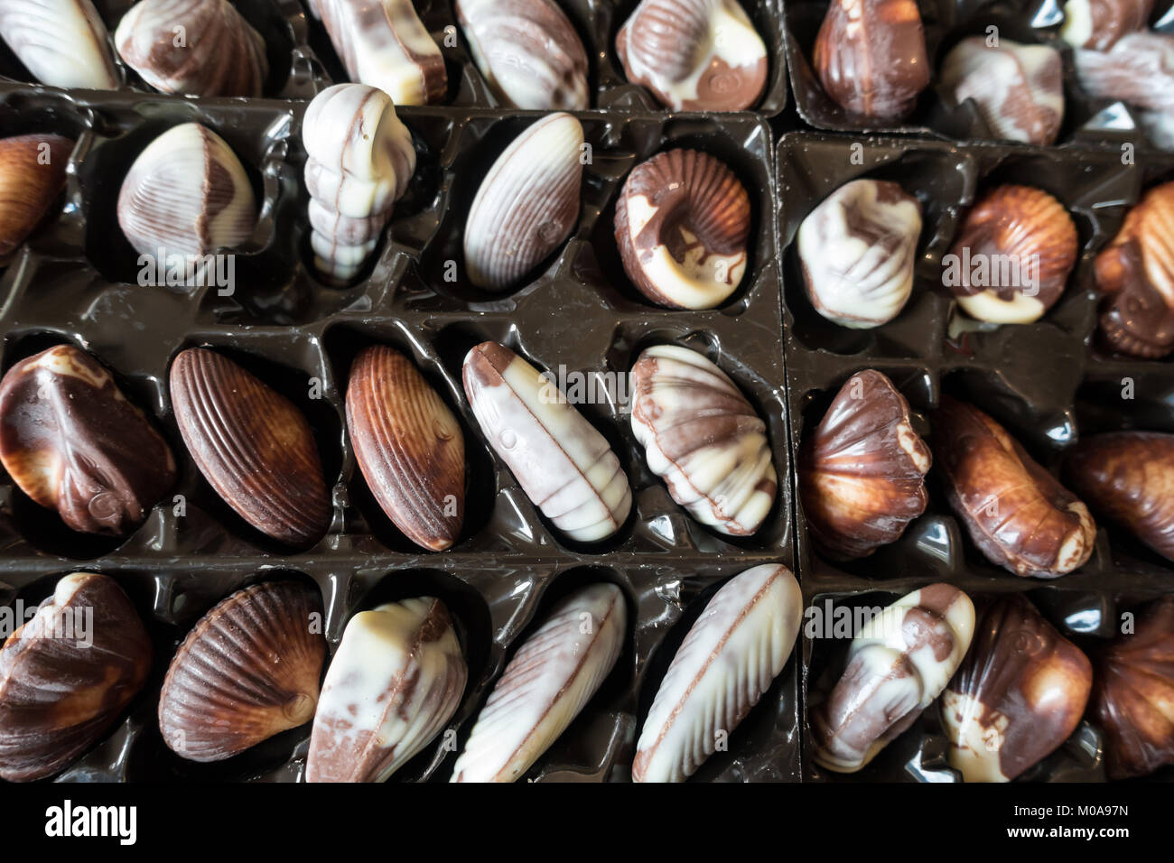 Guylian belgische Schokolade Trüffel Muscheln in ihrer Verpackung. Stockfoto
