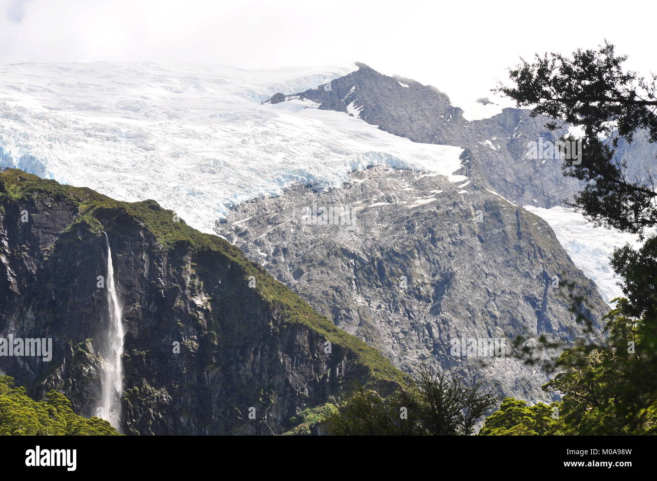 Rob Roy Gletscher am Mount Aspiring National Park im Süden von Island, Neuseeland Stockfoto