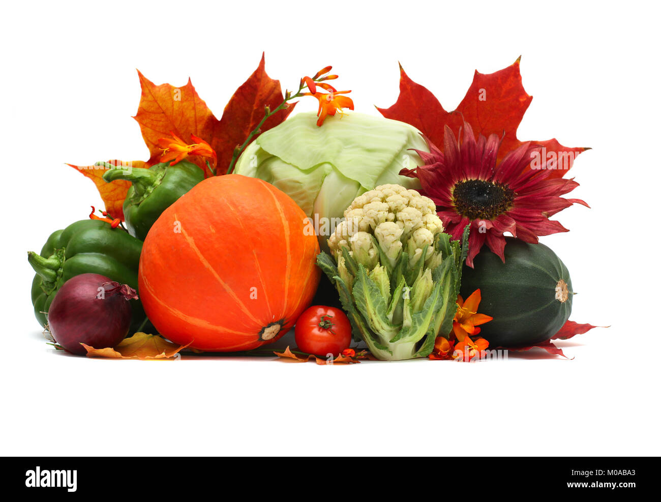 Satz von Herbst Gemüse auf Weiß Stockfoto