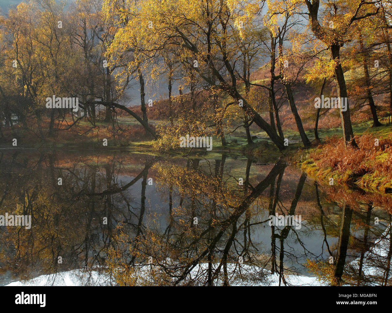 Spiegelungen der Bäume und der Herbst Farbe im ruhigen Wasser der Lanty des Tarn, Keldas, Penrith, Lake District, Cumbria, England, UK wider Stockfoto