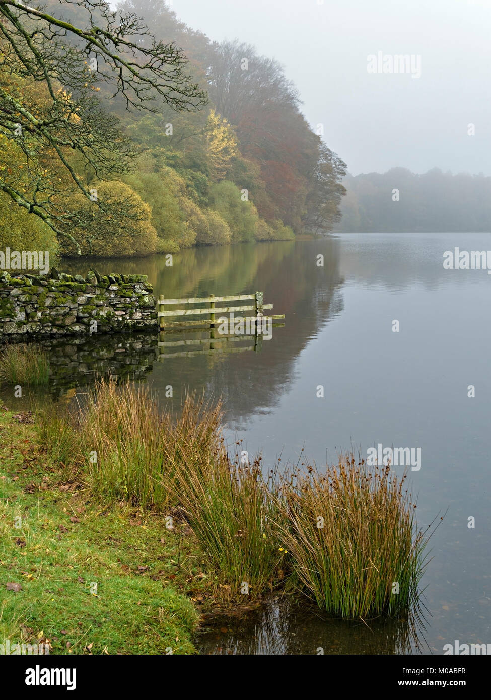 Loweswater See und Küste auf einer ruhigen Herbsttag, englischen Lake District National Park, Cumbria, England, UK. Stockfoto
