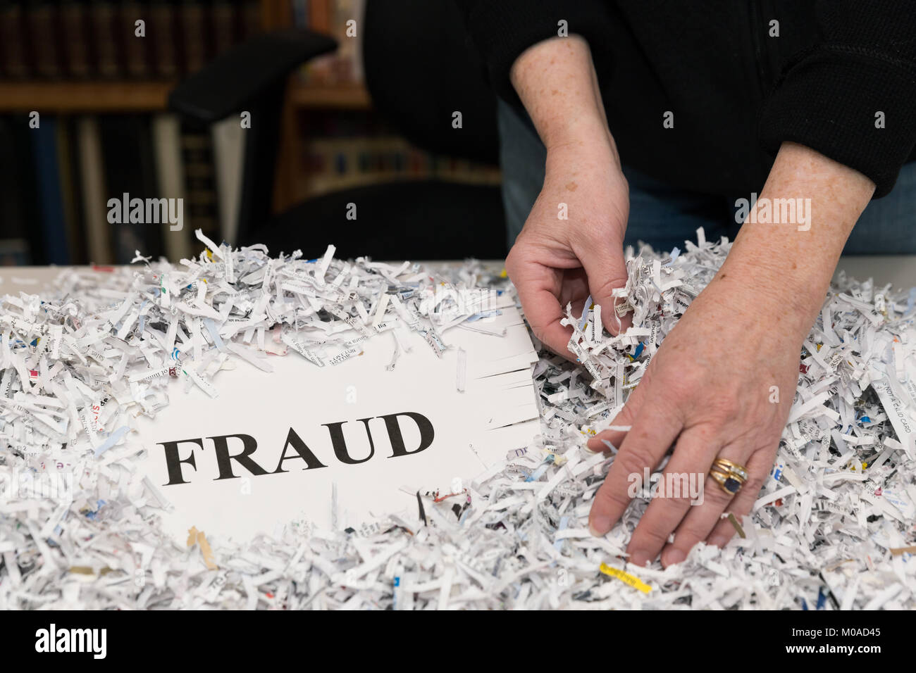 Die Hände der Frau sind Sortierung zerrissenes Papier mit dem Wort betrug in großen Buchstaben angezeigt Stockfoto