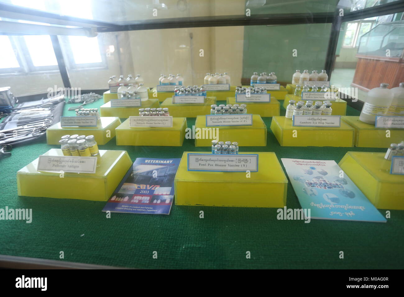 Das Museum in Yangon ist mit Anzeige von Warnungen über die Gefahren und Risiken der Drogenabhängigkeit gefüllt. Stockfoto