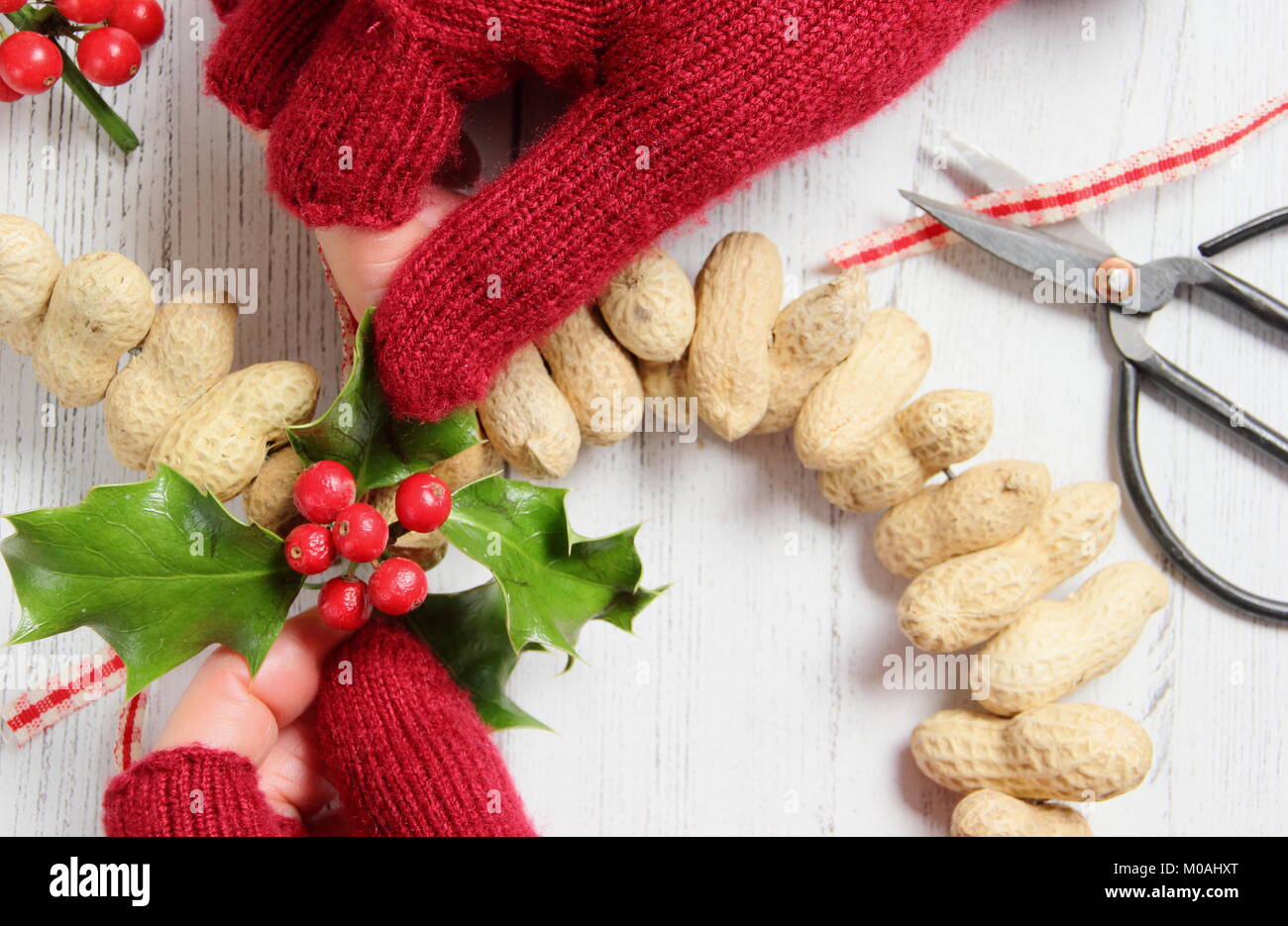 Erstellen einer schnellen, Winter herzförmigen Bird Feeder von Monkey nuts (Schritt-für-Schritt Anleitung). Schritt 2/3: Legen festliche winter Laub und Band oder Garn Stockfoto
