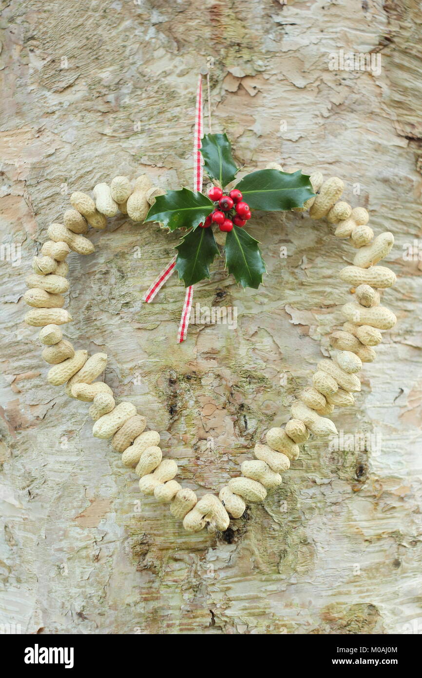 Erstellen einer schnellen, Winter herzförmigen Bird Feeder von Monkey nuts (Schritt-für-Schritt Anleitung). Schritt 3/3: Ort des Schrägförderers wo Sie können sich gerade Vögel Stockfoto