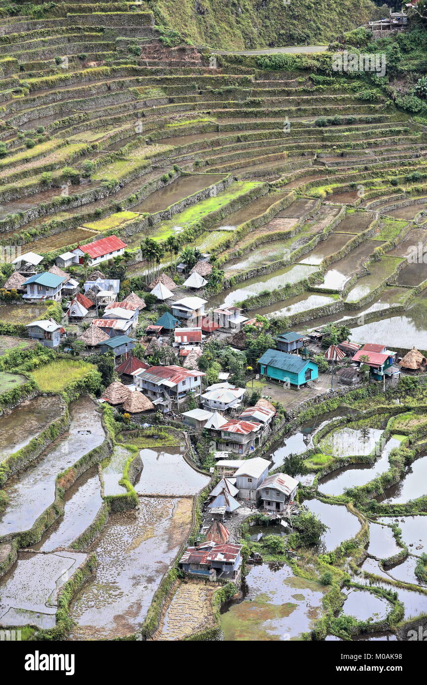 Die batad Dorf cluster-Teil der Reisterrassen in den Philippinischen Kordilleren UNESCO Weltkulturerbe in der kulturellen Landschaft Kategorie. Banau Stockfoto