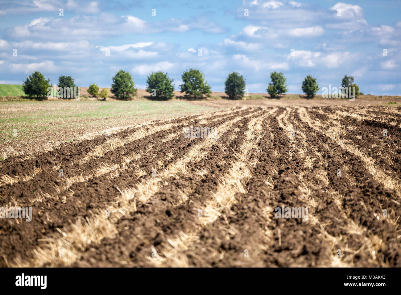 Landschaft, Reihen von gepflügten Feldes, Tschechische Republik Stockfoto