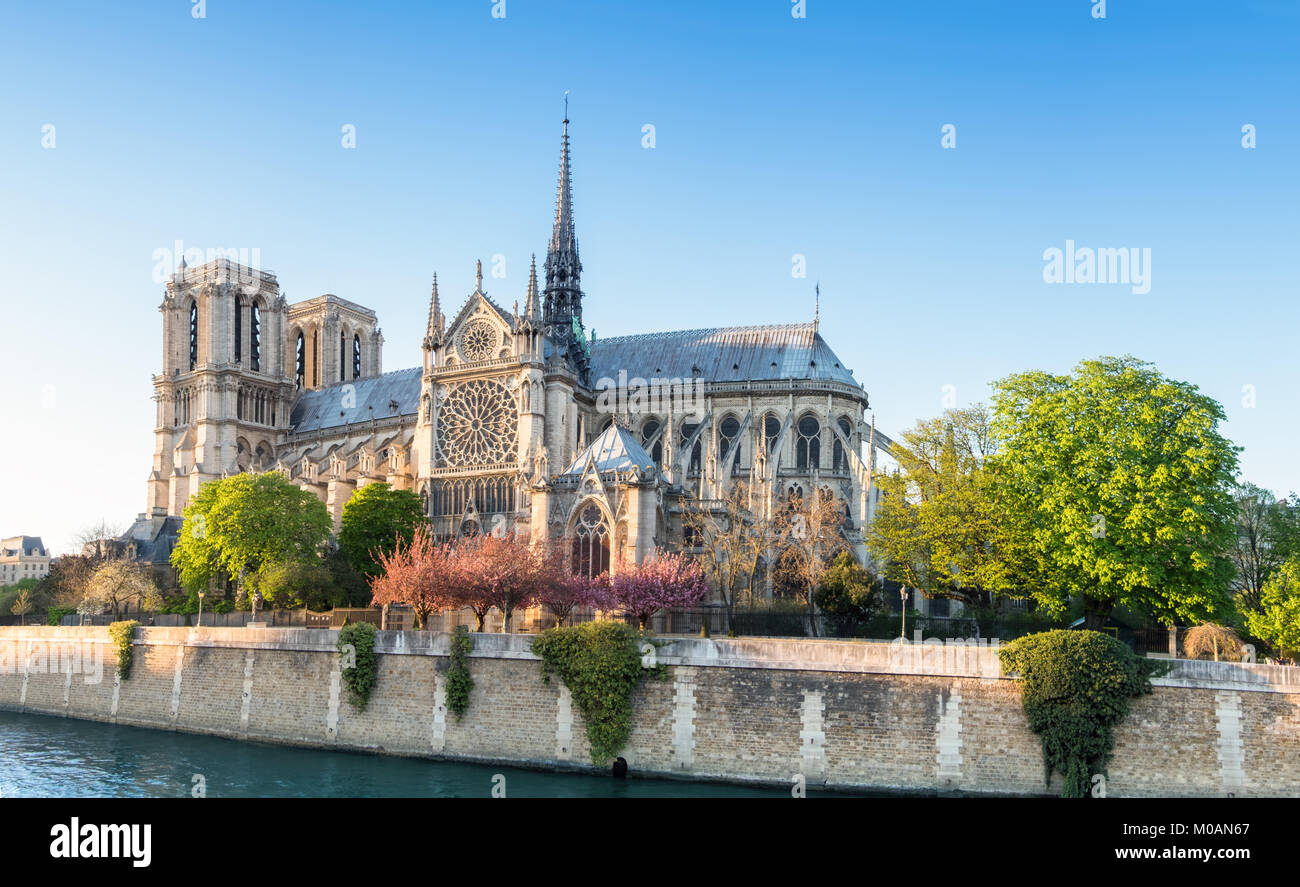 Die Kathedrale Notre Dame in Paris auf einem hellen Nachmittag im Frühjahr, Panorama Bild Stockfoto