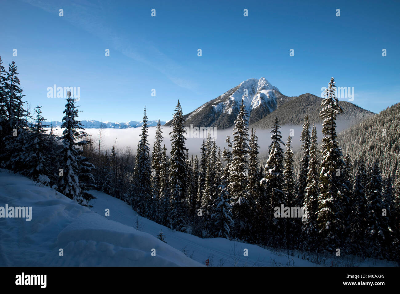 Winter in den kanadischen Rockies Stockfoto