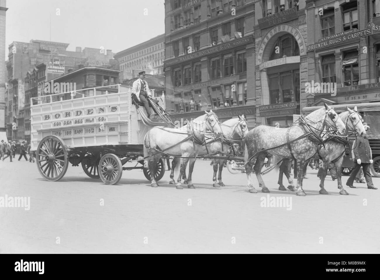 Borden Molkereien geben Sie eine von Pferden gezogene Wagen in die Arbeit Horse Parade Stockfoto