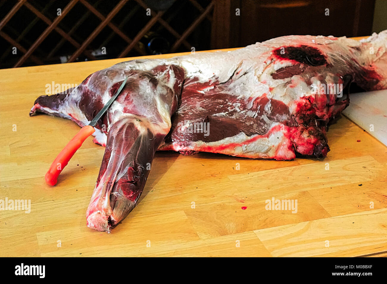 Nahaufnahme eines wilden Hirsche über zu Hause verpackt werden. Stockfoto