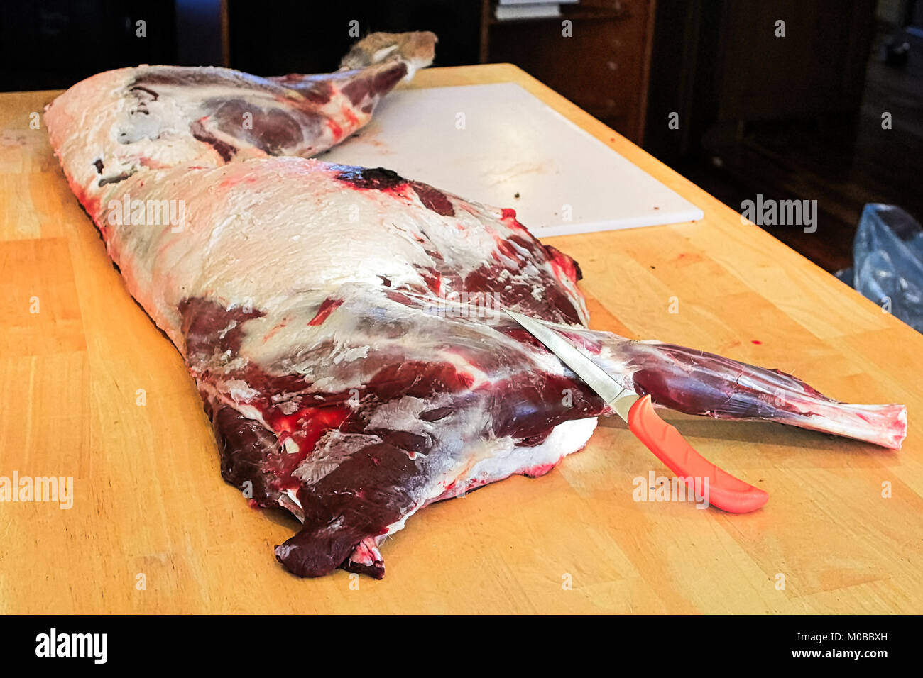 Eine Seite von Rotwild Fleisch zu schneiden. Stockfoto