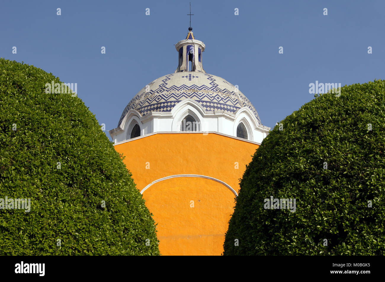 Gelbe und grüne Bäume in Tlaxcala, Mexiko Stockfoto