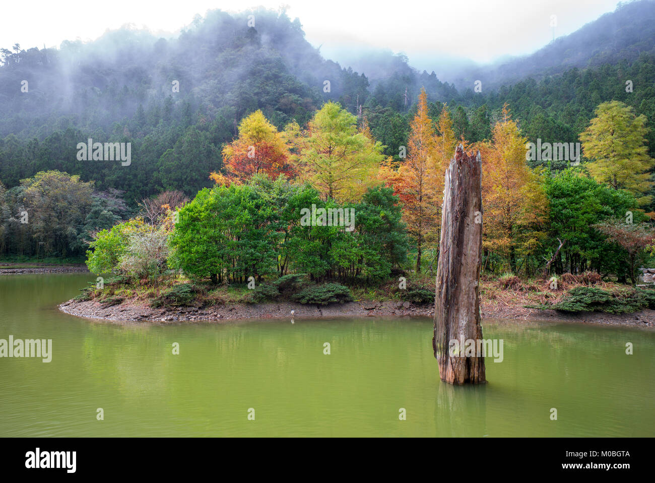 Mingchi Wald Naherholungsgebiet in Yilan, Taiwan Stockfoto