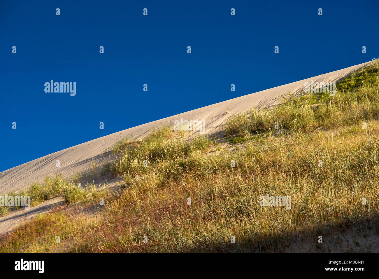 Sand Dünenlandschaft von Sommerabend mit klaren blauen Himmel Stockfoto