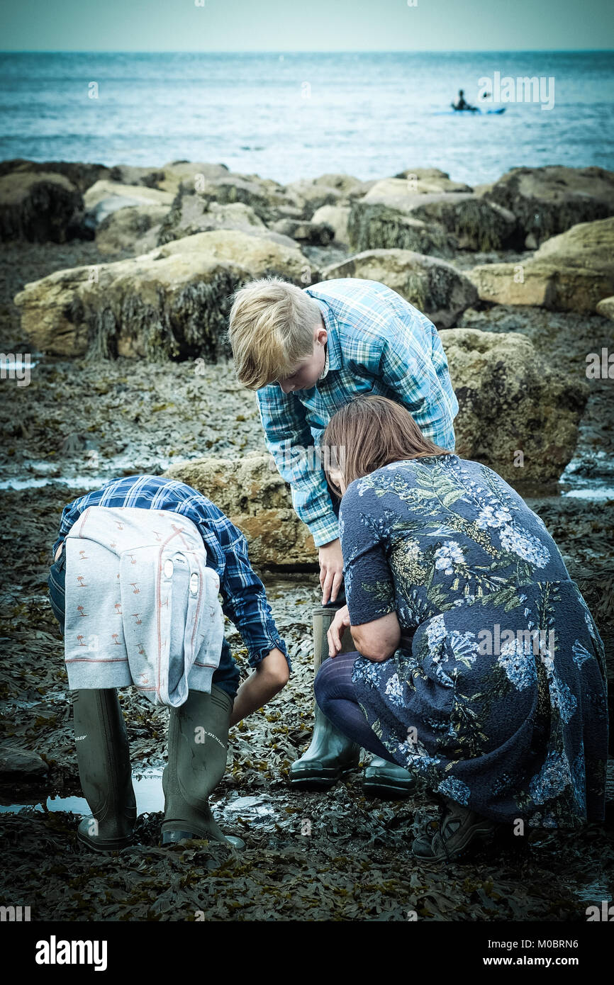 Mutter und Söhne, zwei Jungen, Krabben, Fischen, Rock Pool, [Songbook] Bay, Yorkshire, Großbritannien Stockfoto