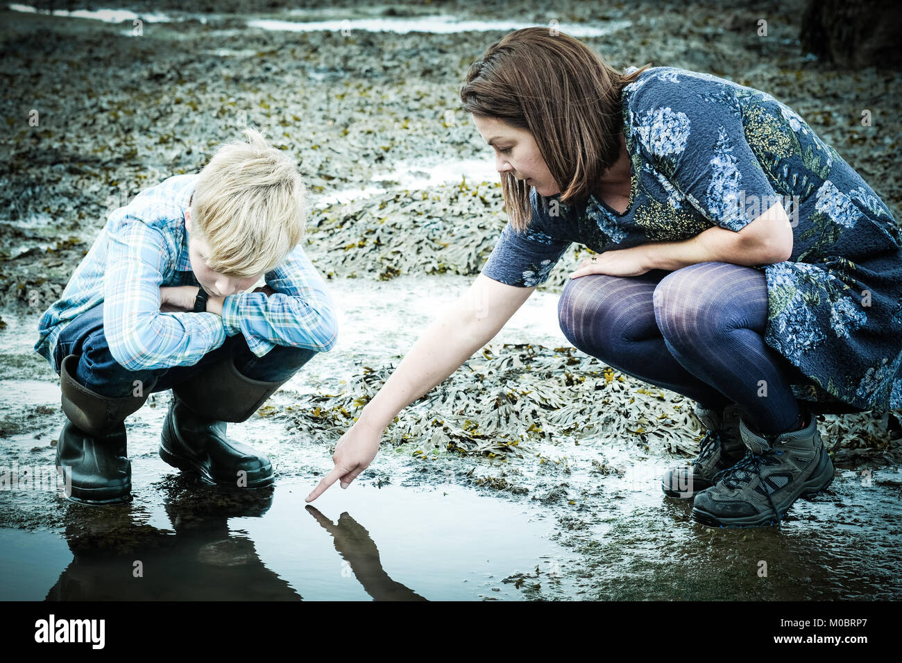 Mutter und Sohn, Krabben, Fischen, Rock Pool, [Songbook] Bay, Yorkshire, Großbritannien Stockfoto
