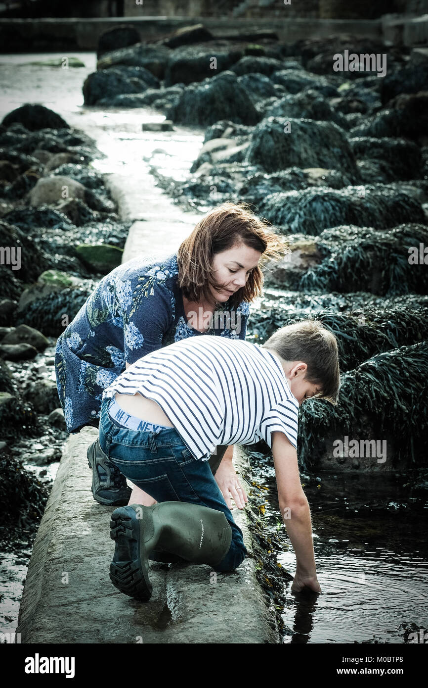 Mutter und Sohn, Krabben, Fischen, Rock Pool, [Songbook] Bay, Yorkshire, Großbritannien Stockfoto