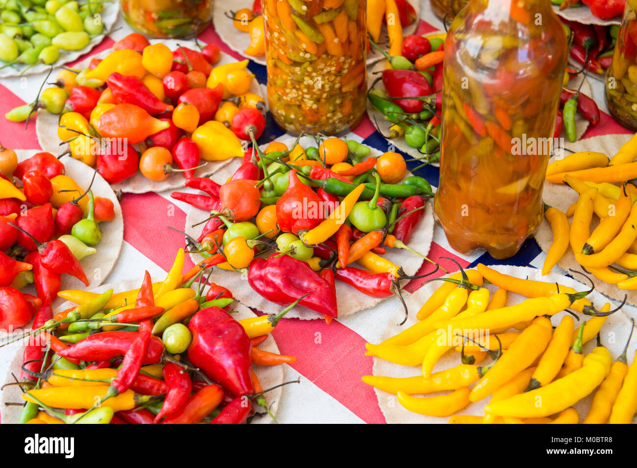 Hell frisch gefärbt und konserviert chili peppers auf Anzeige an der tropischen Bauernmarkt im Stadtteil Ipanema in Rio de Janeiro, Brasilien Stockfoto