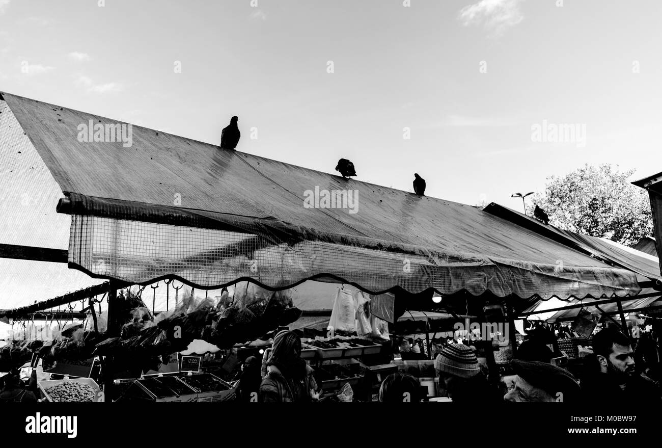 Tauben auf einem Stall, Central Street Market, Turin, Italien Stockfoto
