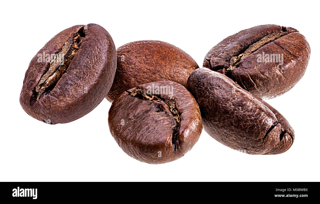 Kaffeebohne Mit Weissem Hintergrund Stockfotografie Alamy
