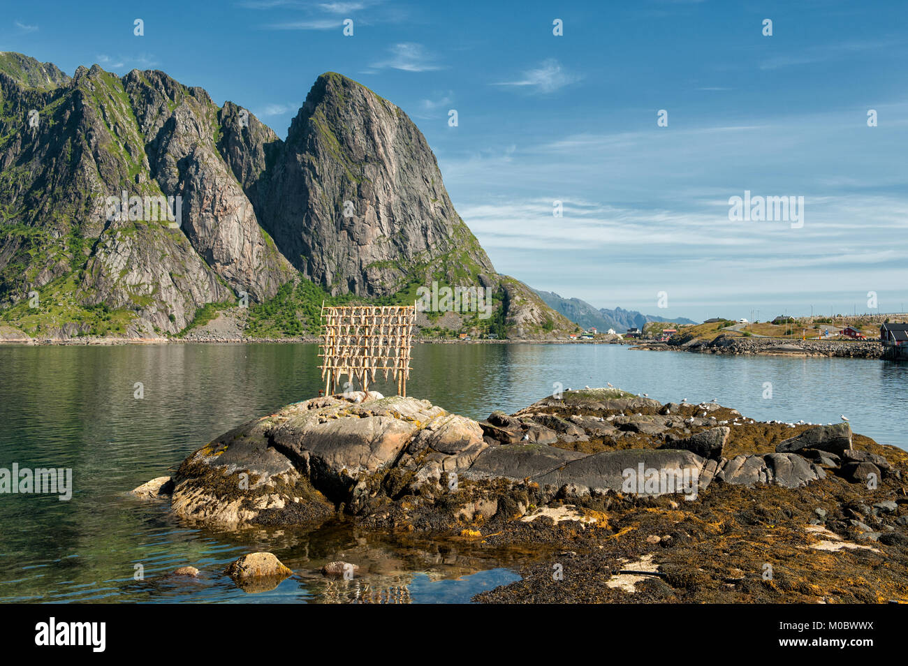 Typische trocknen Flake für Stockfisch auf den Lofoten im Norden Norwegens. Das Trocknen von Lebensmitteln ist der weltweit älteste Bewahrung-methode. Stockfoto