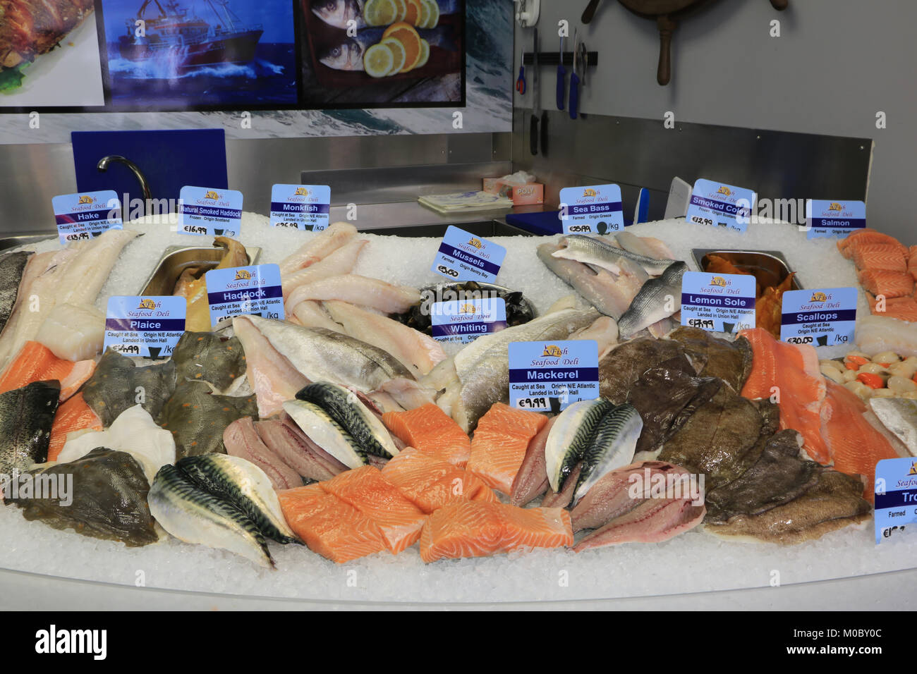 Counter Display von frischem Fisch, Bauernmarkt, wilden Atlantik, County Cork, Irland Stockfoto
