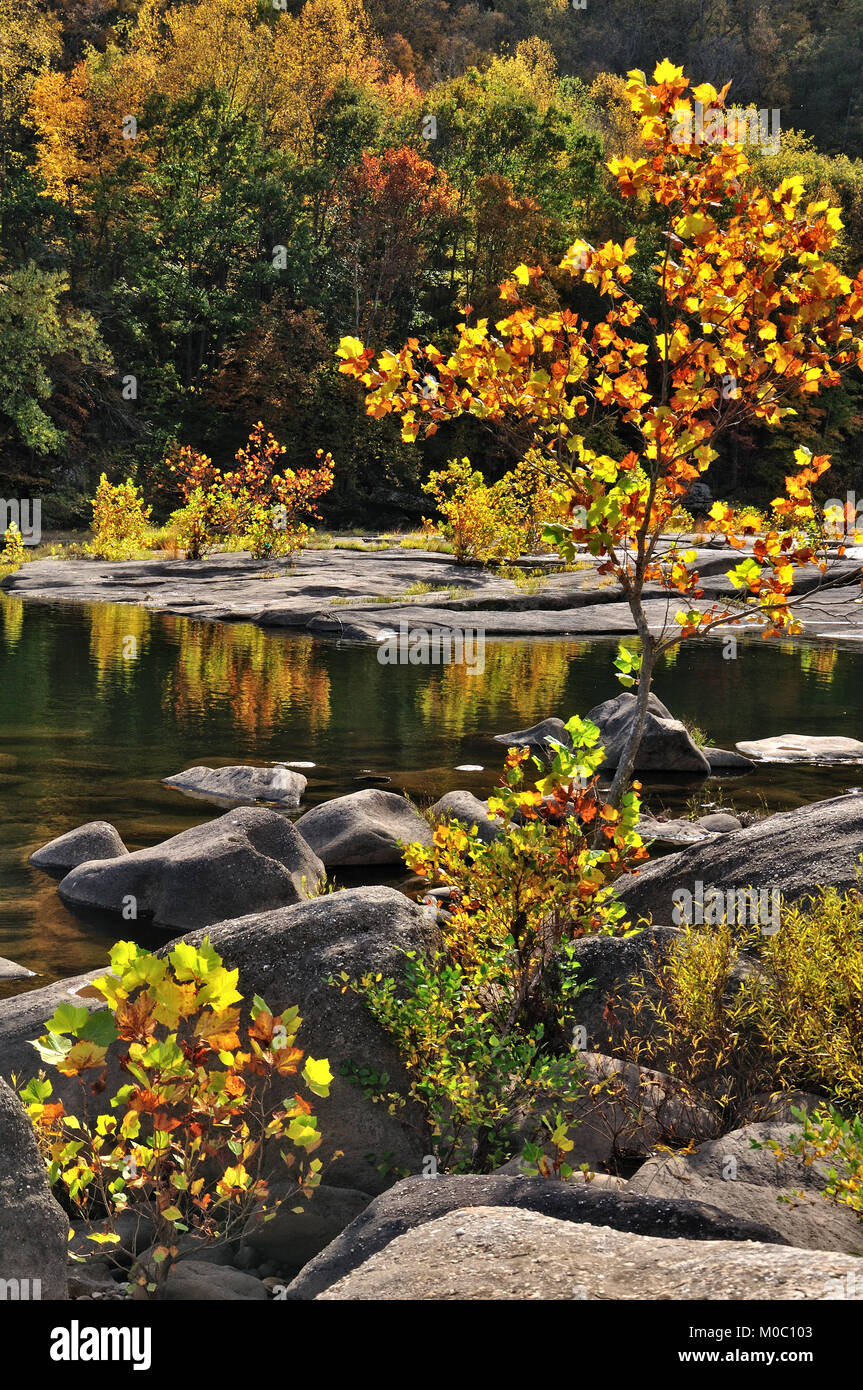 New River Drys, Hawks Nest West Virginia Stockfoto