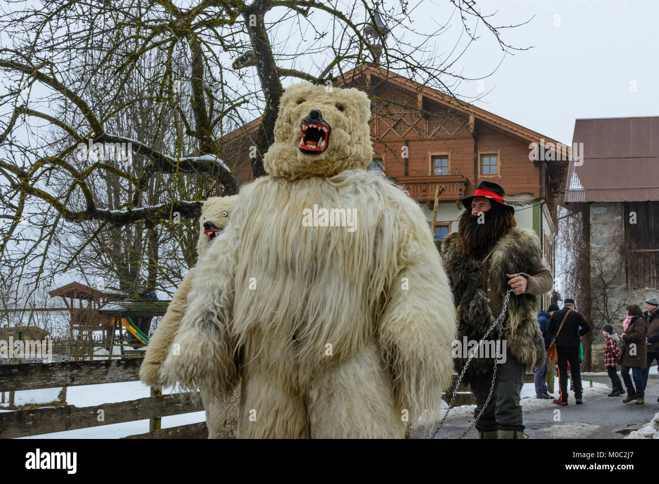 Bad Hofgastein: Perchtenlauf (percht Perchten Maske Prozession): Bären mit Treiber (mit Fahrer), Pongau, Salzburg, Österreich Stockfoto