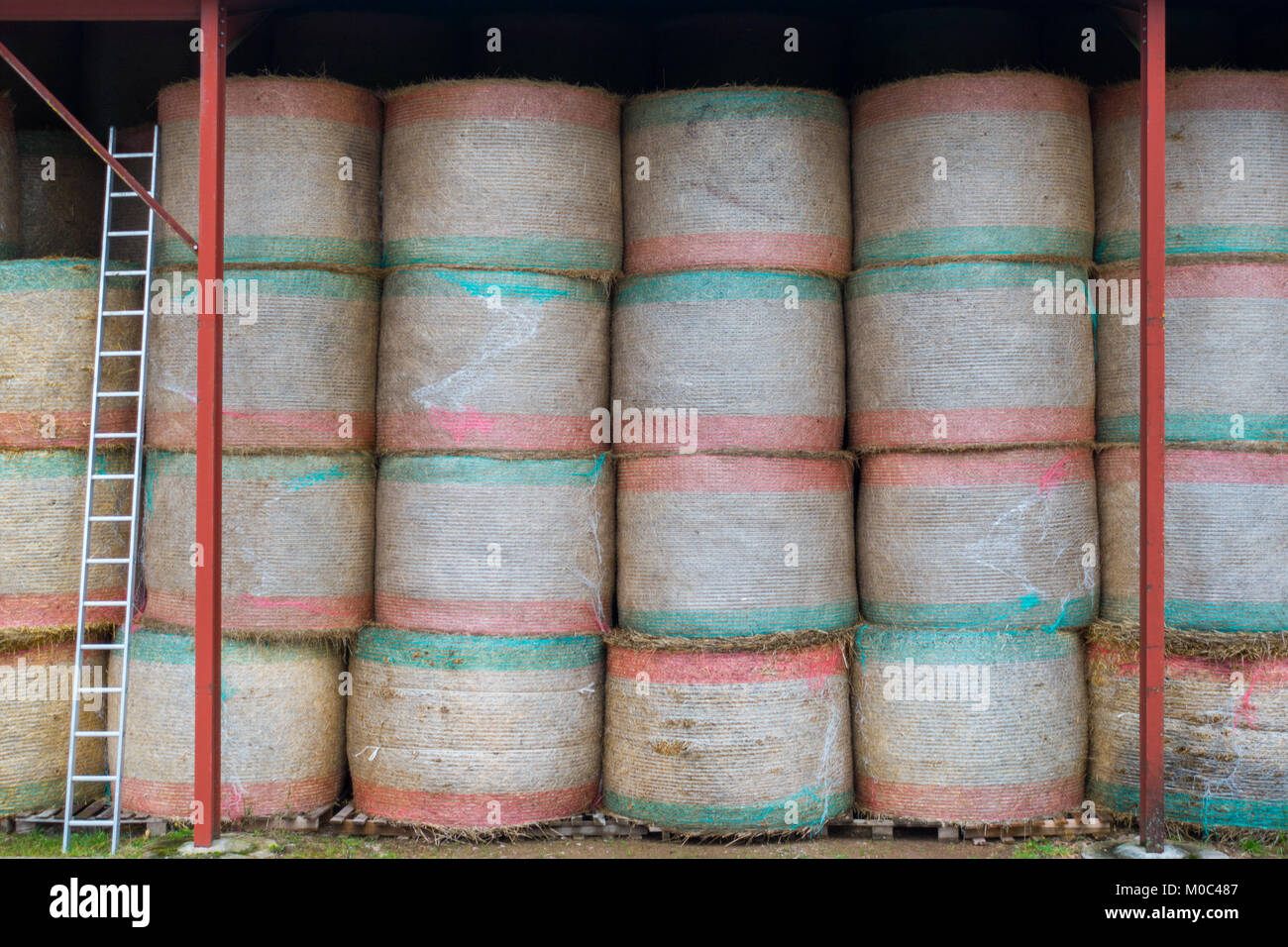 Runde Heuballen ordentlich in einer Scheune gestapelt Stockfoto