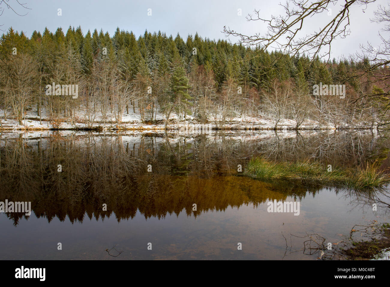 Reflexion in Lac de Faux im Winter in der Nähe von Faux-la-Montagne, Creuse, Nouvelle-Aquitaine, Frankreich Stockfoto